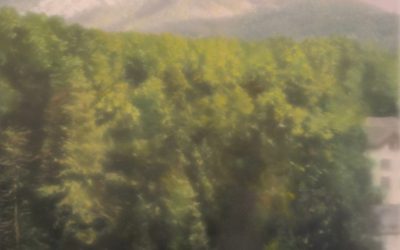 Janvier à l’Envers